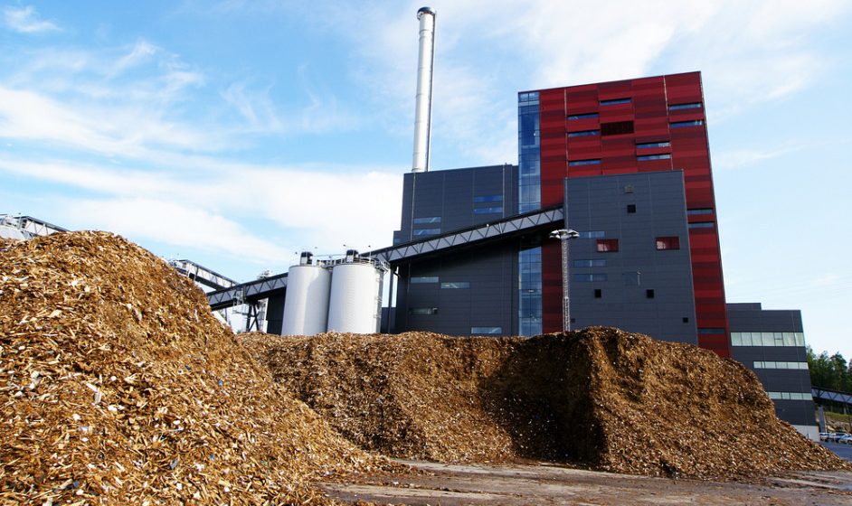 La biomasse : une source d’énergie plus écologique